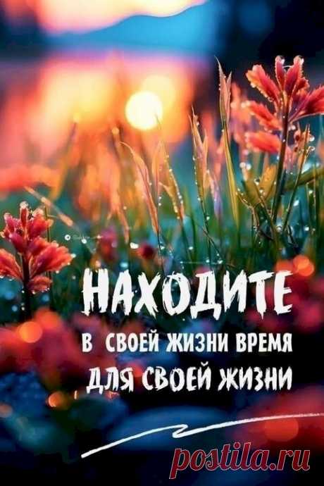2ae22f7f.jpg (480×720)