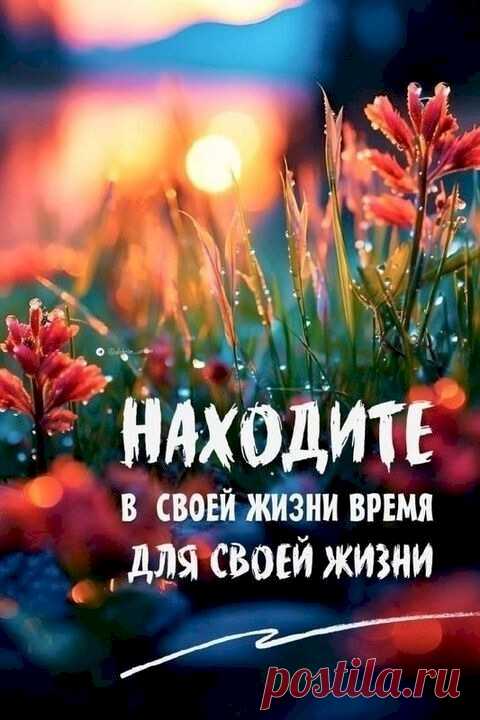 2ae22f7f.jpg (480×720)
