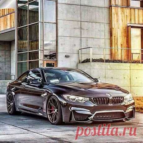 (79) Елена Петрова - #BMW M4 Beast