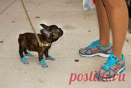 LENA und OLEG
Украина, Дружковка