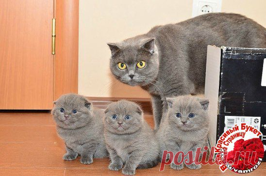 — НУ и  где зарплата? 
— Украли... 
— У какой еще................ крали?!!!!!