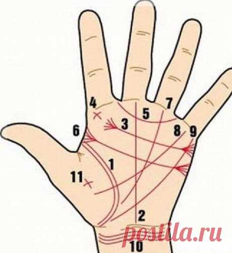 Как узнать о людях больше по их рукам? ✋ / Изысканные кулинарные рецепты