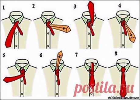 Как правильно завязывать галстук - разные способы