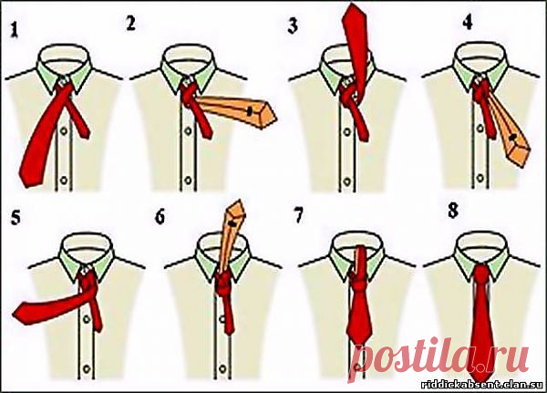 Как правильно завязывать галстук - разные способы