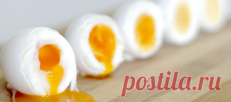 Почему важно кушать яйца каждый день - Сайт о здоровом образе жизни Наверняка все наслышаны о пользе яиц для организма. Но также часто слышим,  что этот продукт с большим содержанием холестерина и тяжелый для печени. Давайте разберемся полезно или же вредно употреблять яйца ежедневно. Существует ряд причин, почему яйца должны всегда находиться в холодильнике. Помимо быстрого и сытного завтрака, на приготовление которого уйдет максимум 5-7 минут, мы …