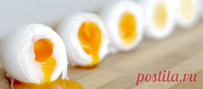 Почему важно кушать яйца каждый день - Сайт о здоровом образе жизни Наверняка все наслышаны о пользе яиц для организма. Но также часто слышим,  что этот продукт с большим содержанием холестерина и тяжелый для печени. Давайте разберемся полезно или же вредно употреблять яйца ежедневно. Существует ряд причин, почему яйца должны всегда находиться в холодильнике. Помимо быстрого и сытного завтрака, на приготовление которого уйдет максимум 5-7 минут, мы …