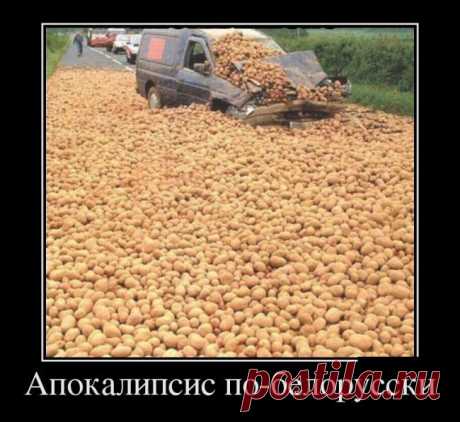 Демотиваторы / Приколы
