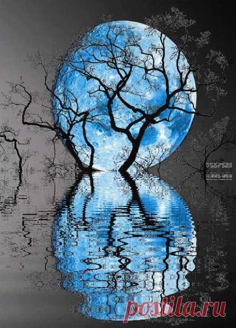 Sweet Dreams &amp; Moonbeams | Good Morning &amp; Night | Птицы, Первое Послание К Фессалоникийцам и Beautiful
