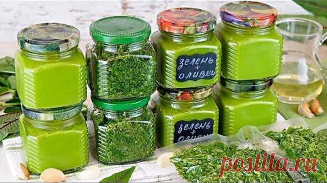 Способы заготовки зелени на зиму с сохранением вкуса и аромата! Свежая зелень зимой