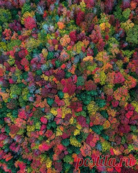 #Рандольф@discoverygroup , Нью-Гэмпшир