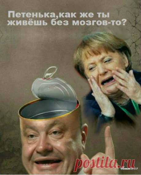 Дебил - одним словом. У Берлина не осталось иллюзий относительно Порошенко