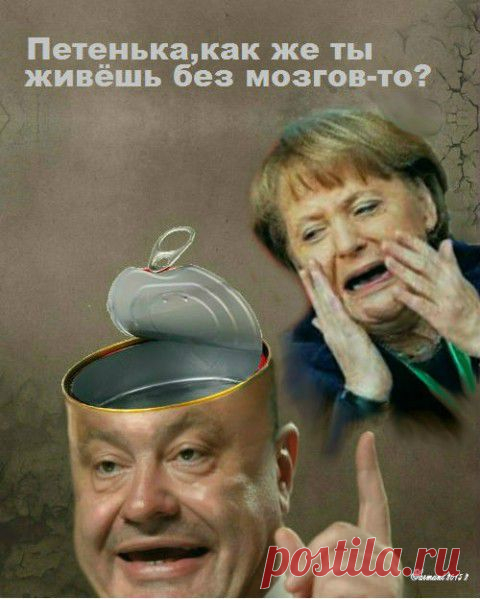 Дебил - одним словом. У Берлина не осталось иллюзий относительно Порошенко