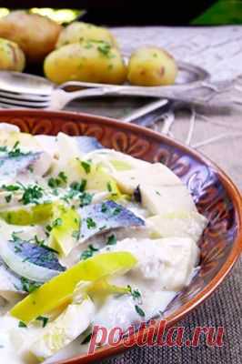 Сельдь в сметане - пошаговый рецепт с фото | Закуски | Вкус Онлайн - кулинарные рецепты