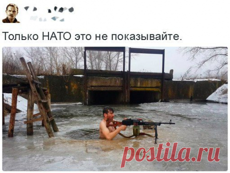 Весёлые диалоги из социальных сетей