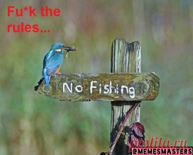 No Fishing | Gag Bee

#funny #memes #comics #humor #hilarious #fish #fishing #girls #boys #gagbee