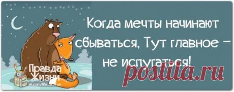 Прикольные фразочки в картинках