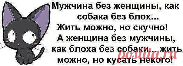 no comments