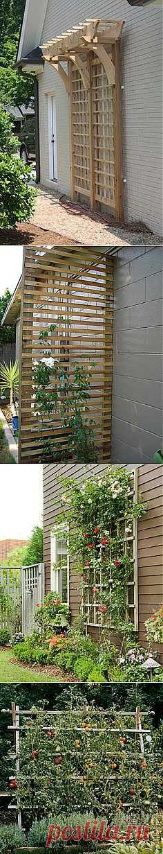 trellis | The Great Outdoors
