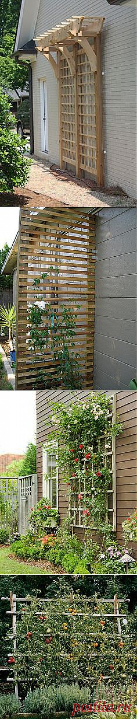 trellis | The Great Outdoors