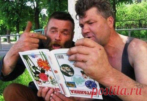 Приколы и позитив | Удивительный мир