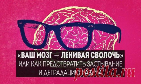 10 простых приёмов - как остановить деградацию мозга — Центр обучения Профессионалы.ru — Профессионалы.ru