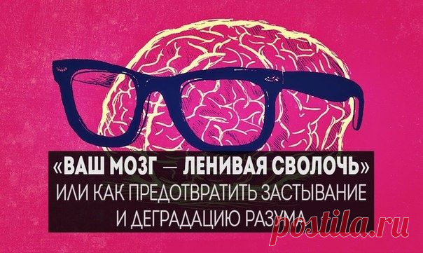 10 простых приёмов - как остановить деградацию мозга — Центр обучения Профессионалы.ru — Профессионалы.ru