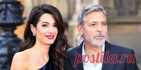 Джордж Клуни появился на премьере своего фильма в компании беременной жены: Яндекс.Новости