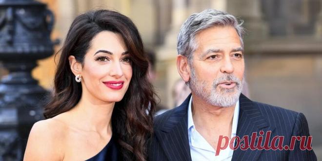 Джордж Клуни появился на премьере своего фильма в компании беременной жены: Яндекс.Новости