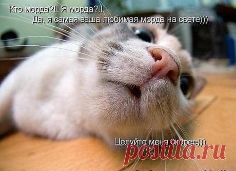 Интересные новости