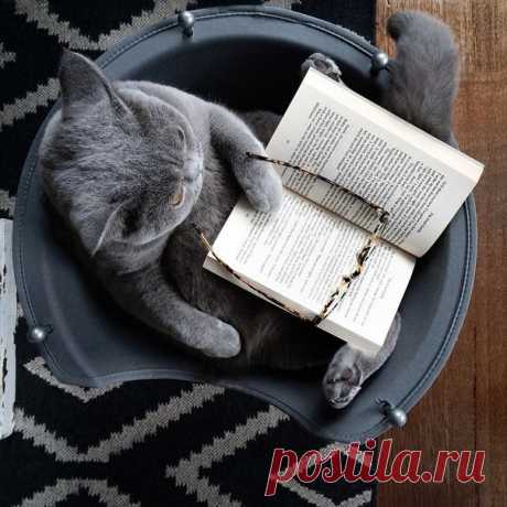 58 книг, которые научат тебя мыслить шире: 1. Данте Алигьери «Божественная комедия» 2. Аристотель «Политика» 3. Александр Афанасьев «Русские заветные сказки» 4. Ричард Бах «Чайка по имени Джонатан Ливингстон» 5. Александр Беляев «Продавец воздуха» 6. Энтон Бёрджесс «Заводной апельсин» 7. Михаил Булгаков «Великий канцлер» 8. Михаил Булгаков «Мастер и Маргарита» 9. Борис Васильев «В списках не значился» 10. Курт Воннегут «Бойня номер пять» 11. Гёте «Фауст» 12. Николай Гоголь «Мертвые души» 13.…