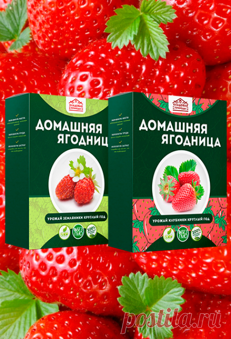 "Кладовая природы"