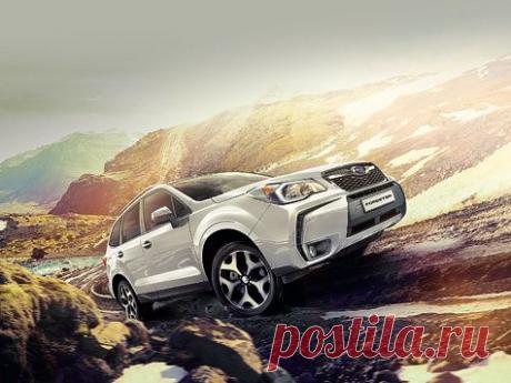 Subaru Forester «Лесник» с городской пропиской - Транспорт - Охотники.ру