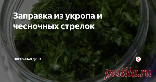 Заправка из укропа и чесночных стрелок Эту аппетитную и ароматную зелёную заправку  я делаю каждый год и использую зимой для приготовления первых и вторых блюд. Много заготовить её не получается, так как количество зелёных чесночных стрелок ограничено, ведь из них хочется приготовить что-то другое, например, замариновать или поджарить. Но тем вкуснее она кажется в супу, тушёной картошке или подливе для мяса.
Итак, нам понадобя
