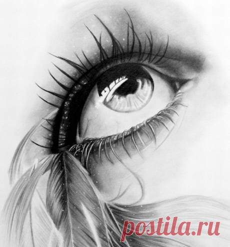рисунки