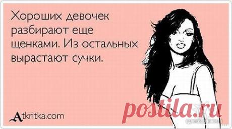 ДОМОВОДСТВО(обо всем)
Ирина У