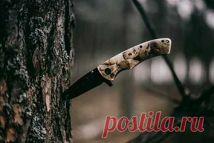 Россиянин с ножом напал на силовика и был задержан. В Воронежской области следователи завели уголовное дело в отношении 25-летнего местного жителя, который напал с ножом на приехавшего по вызову полицейского. Мужчина проходит обвиняемым по статье 317 («Посягательство на жизнь сотрудника правоохранительного органа») УК РФ. Его арестовали.