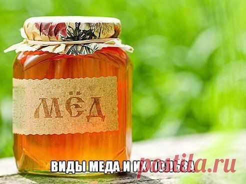 Виды меда и их польза
