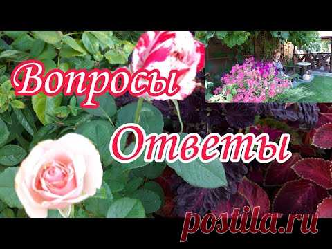 Часть 1.Вопросы- Ответы.Красивый сад.Ландшафтный дизайн своими руками. КРАСИВАЯ ДАЧА.