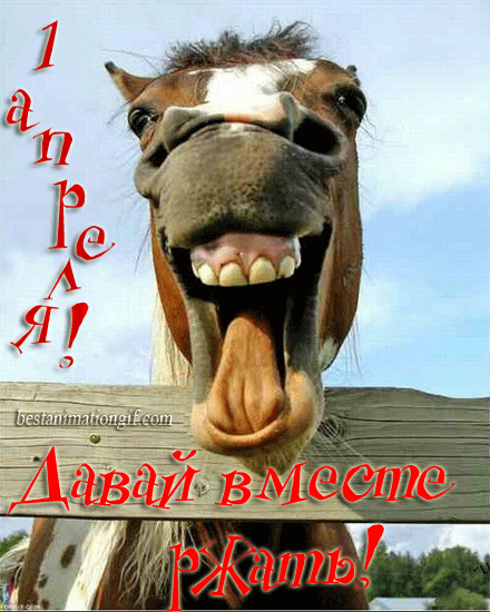С ДНЕМ СМЕХА!!!!!!!1 АПРЕЛЯ!!!!!!!!УЛЫБАЙТЕСЬ!!!! | ОГОНЁК | Группы Мой Мир