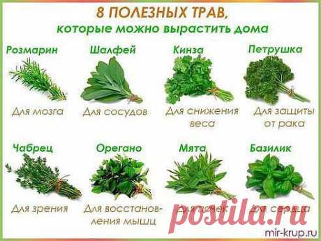 травы