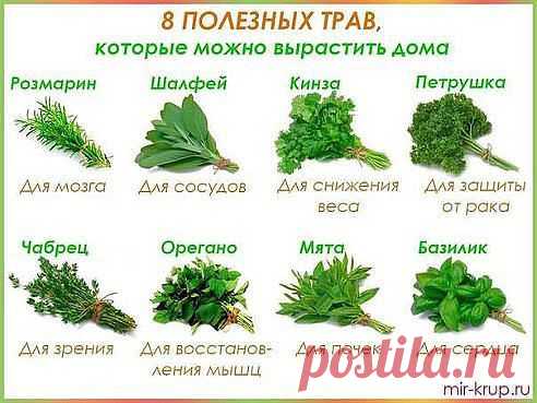 травы