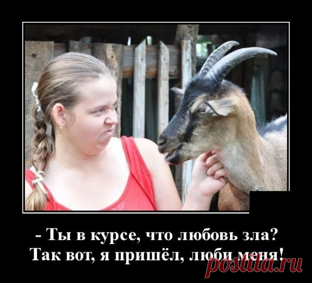 Демотиваторы - 14 картинок - Нет скуки - Сайт хорошего настроения. Подборка прикольных демотиваторов. Хорошего настроения от просмотра подборки.