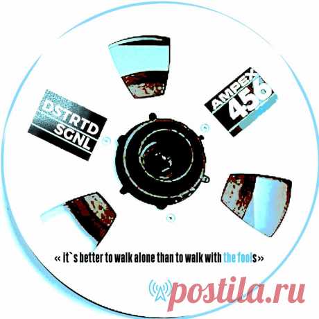DSTRTD SGNL - The Fool (Single) (2025) 320kbps / FLAC