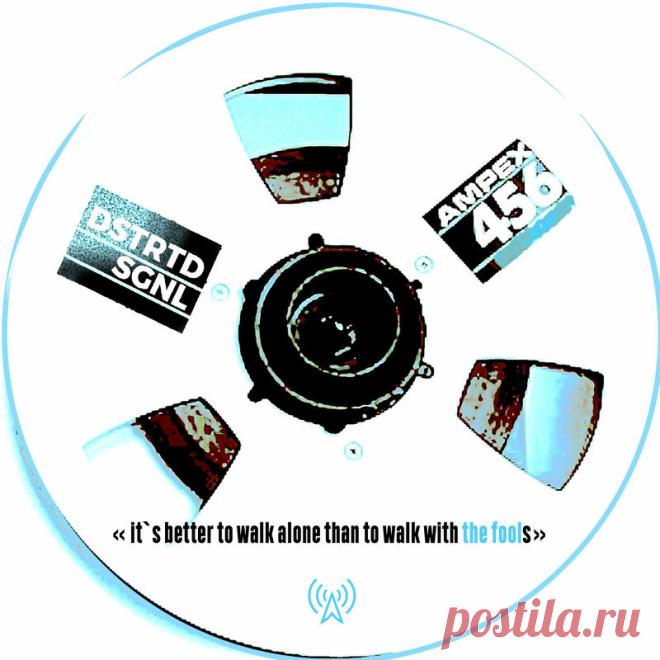DSTRTD SGNL - The Fool (Single) (2025) 320kbps / FLAC