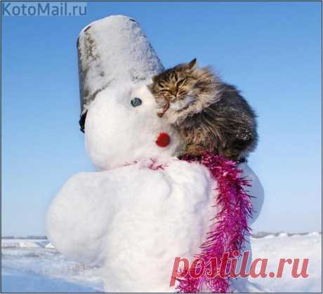 Подари мне свой шарфик как другу