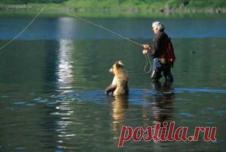 Медведь-рыбнадзор