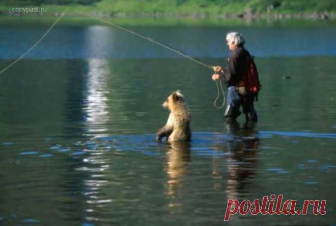 Медведь-рыбнадзор