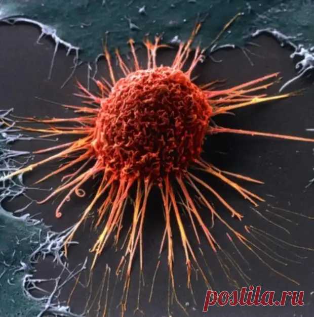 Что лечит димексид? - ПолонСил.ру - социальная сеть здоровья - 13 сентября - 43703524884 - Медиаплатформа МирТесен