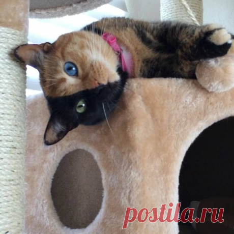 (38) ГРУППА ДОБРЫХ, ПОЗИТИВНЫХ И СОЛНЕЧНЫХ ЛЮДЕЙ :))))))