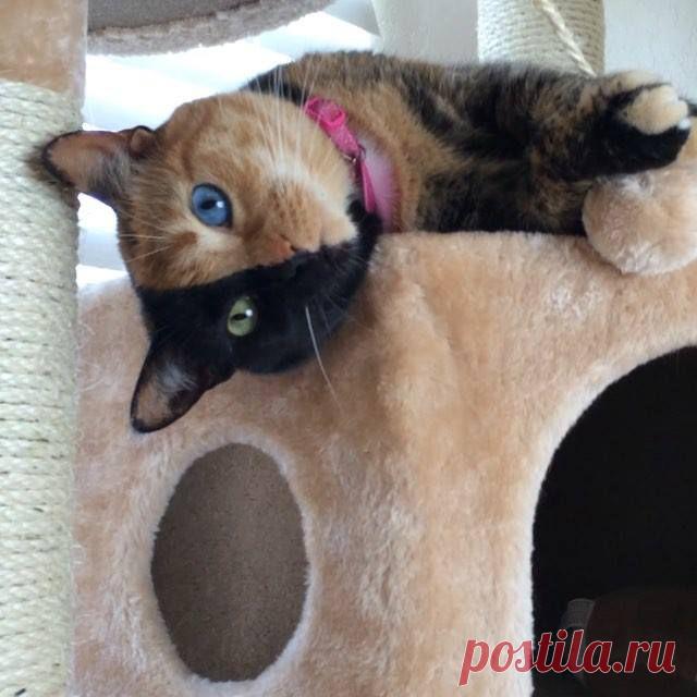 (38) ГРУППА ДОБРЫХ, ПОЗИТИВНЫХ И СОЛНЕЧНЫХ ЛЮДЕЙ :))))))